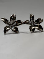 Blooming Silver Lillies